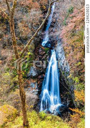 Gunma Autumn leaves at Konakao Falls 126628013