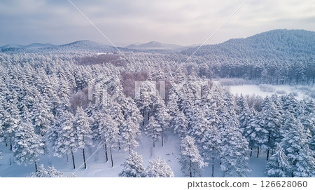 Winter landscape features a vast forest covered in snow with distant mountains in a serene setting during the day 126628060
