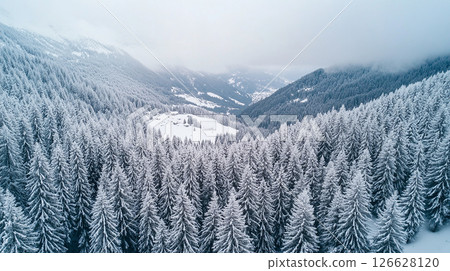 Snow-covered pine forest in winter landscapes with distant mountains and misty valleys in breathtaking scenery Snow-covered pine forest in winter landscapes with distant mountains and misty valleys in breathtaking scenery 126628120