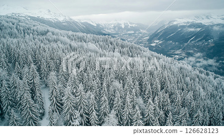 Snow-covered pine forest in winter landscapes with distant mountains and misty valleys in breathtaking scenery Snow-covered pine forest in winter landscapes with distant mountains and misty valleys in breathtaking scenery 126628123
