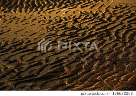 Shinkai海灘的晚上風景 126628298