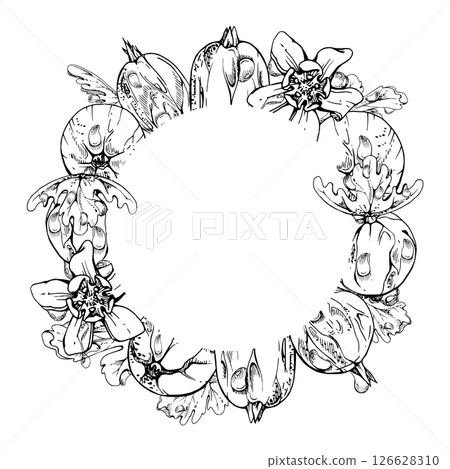 Gooseberry Currant berries, leaves and flowers, water splash dew drops, wreath hand drawn in vector ink. Ripe garden juneberry casseille jostaberry. Isolated circle frame. Fresh grocery, dessert menu 126628310