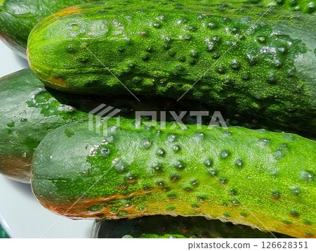 Close-up Of Green Cucumbers On A White Plate Close-up Of Green Cucumbers On A White Plate 126628351