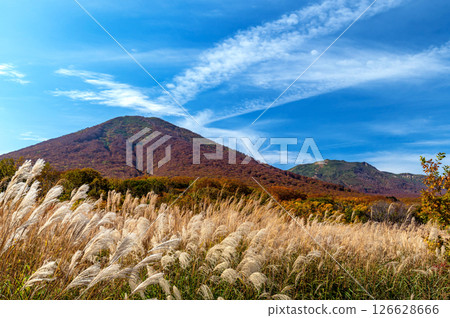 [Aomori Prefecture Hakkoda Mountains] Autumn leaves of Kita-Hakkoda as seen from Tashirodaira Broom Field in Aomori City 126628666