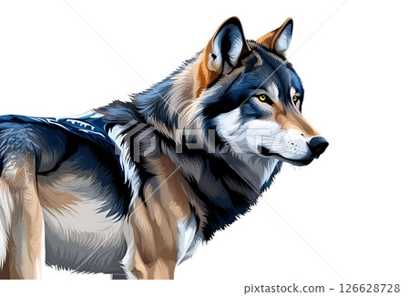 白色背景下逼真的狼插圖 126628728