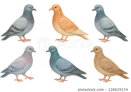 Png set of colorful pigeons in watercolor style isolated on transparent background. concept of bird illustrations, artistic avian designs, nature-inspired decorative elements. 126629154