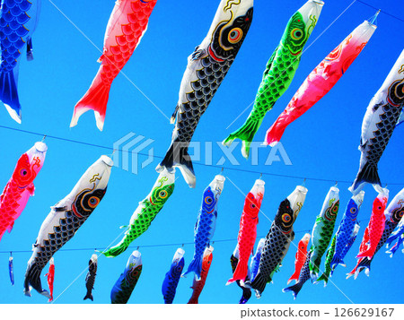 埼玉縣川口市川口芝川鯉魚旗節，鯉魚旗與藍天交相輝映的美麗景色（2025年拍攝） 126629167