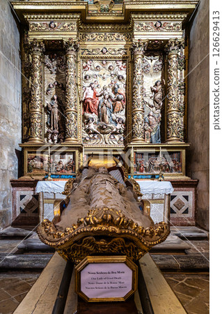 Interior of the New Cathedral 126629413