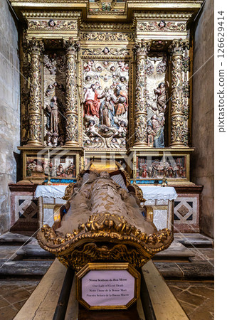 Interior of the New Cathedral 126629414