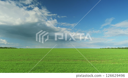A Vast Green Field Spreading Out Under a Clear and Bright Blue Sky, Perfectly Calm and Serene Time lapse. 126629496