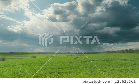 Dramatic and Beautiful Cloudy Sky Over the Lush Green Fields of Agriculture and Nature Time lapse. 126629501