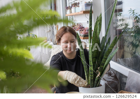 Hobby. Mid adult woman holding green houseplant in her hand standing indoor. 126629524