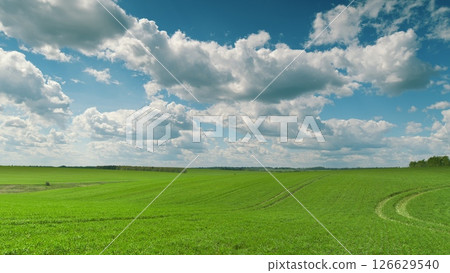 Lush Green Fields Stretching Beneath a Vast, Expansive Blue Sky in All Its Glory Time lapse. Lush Green Fields Stretching Beneath a Vast, Expansive Blue Sky in All Its Glory Time lapse. 126629540