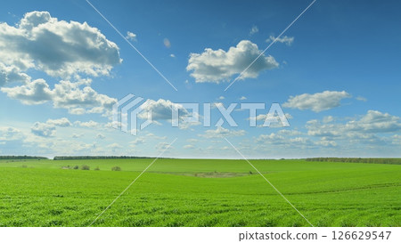 Expansive and lush Green Fields Under a Clear and Bright Blue Sky that stretches far Time lapse. 126629547