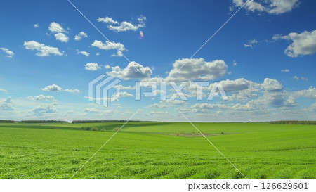 The Serene Green Fields Stretching Beneath a Bright Blue Sky Always Inspire Awe and Joy 126629601