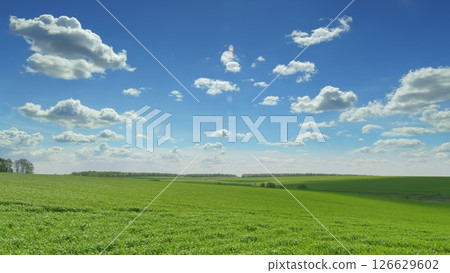 A vibrant green landscape contrasts beautifully with a clear blue sky and fluffy clouds A vibrant green landscape contrasts beautifully with a clear blue sky and fluffy clouds 126629602