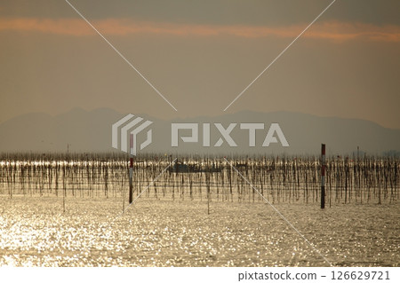 大牟田市有明海紫菜場， 126629721