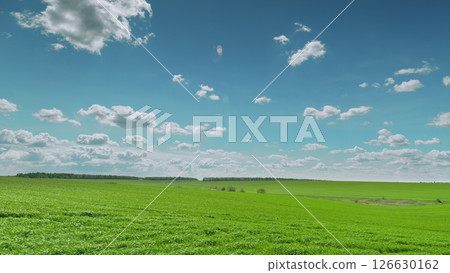 An Expansive Green Field Beneath a Bright Blue Sky Adorned with Beautiful Clouds Time lapse. 126630162