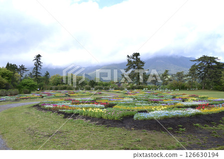 Flower garden 126630194