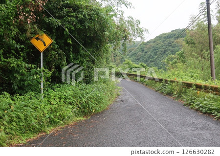Yellow sign on the road Yellow sign on the road 126630282