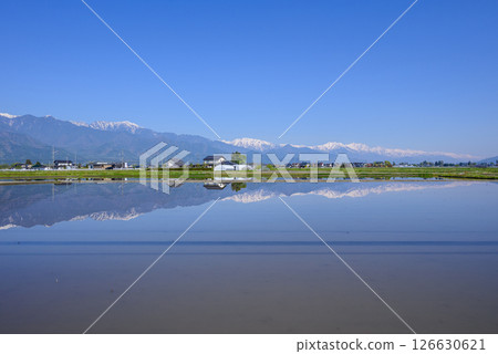 Paddy fields and the Northern Alps [Ikeda-cho, Kitaazumi-gun] 126630621