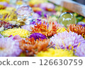 Flowers floating on water 126630759