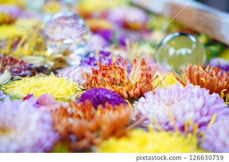Flowers floating on water Flowers floating on water 126630759
