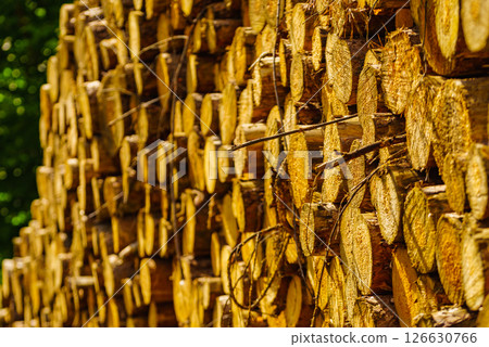 Pile of wood wooden logs Pile of wood wooden logs 126630766