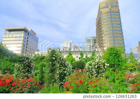 Yokohama Yamashita Park: Rose Garden of the Future Yokohama Yamashita Park: Rose Garden of the Future 126631263