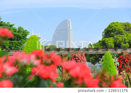橫濱山下公園:未來的玫瑰園 橫濱山下公園:未來的玫瑰園 126631376