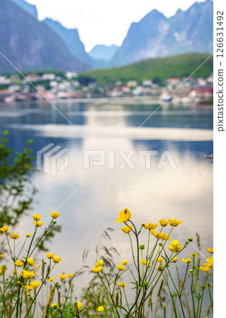 Norwegian fishing village, Reine Lofoten Norway Norwegian fishing village, Reine Lofoten Norway 126631492