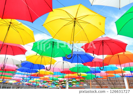 Kanuma City Hanaki Center Umbrella Flower Kanuma City Hanaki Center Umbrella Flower 126631727