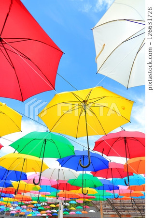 Kanuma City Hanaki Center Umbrella Flower 126631728