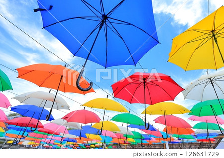 Kanuma City Hanaki Center Umbrella Flower Kanuma City Hanaki Center Umbrella Flower 126631729
