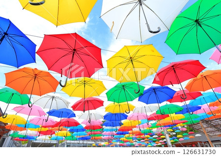 Kanuma City Hanaki Center Umbrella Flower Kanuma City Hanaki Center Umbrella Flower 126631730
