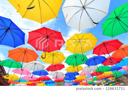 Kanuma City Hanaki Center Umbrella Flower 126631731