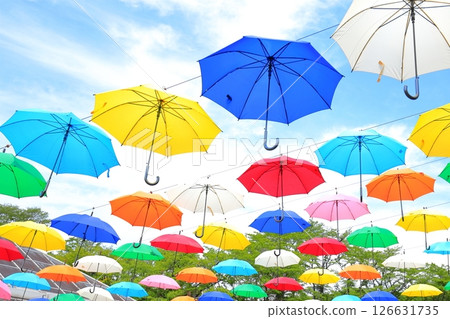 鹿沼市Hanaki中心繖花 126631735