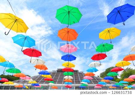 Kanuma City Hanaki Center Umbrella Flower Kanuma City Hanaki Center Umbrella Flower 126631738
