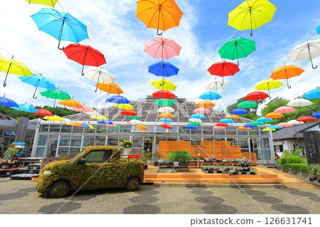 Kanuma City Hanaki Center Umbrella Flower Kanuma City Hanaki Center Umbrella Flower 126631741