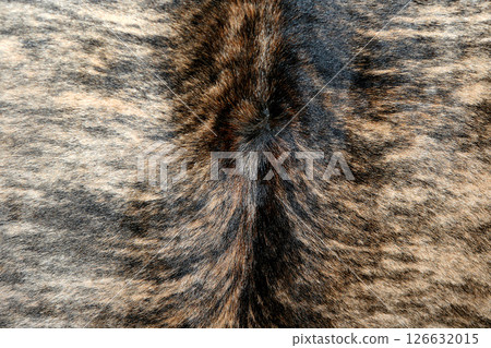 Fur rug Fur rug 126632015