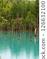 Blue lake 126632100
