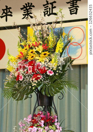 Graduation ceremony image Graduation ceremony Elementary school Junior high school High school 126632435