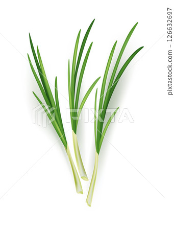 A vibrant bunch of green onions sits upon a clean white background A vibrant bunch of green onions sits upon a clean white background 126632697