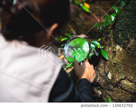 A happy little girl is exploring in the forest and looking for insects with a magnifying glass. Adventure tourism and learning concept. A happy little girl is exploring in the forest and looking for insects with a magnifying glass. Adventure tourism and learning concept. 126632792