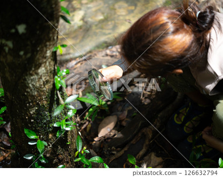 A happy little girl is exploring in the forest and looking for insects with a magnifying glass. Adventure tourism and learning concept. A happy little girl is exploring in the forest and looking for insects with a magnifying glass. Adventure tourism and learning concept. 126632794