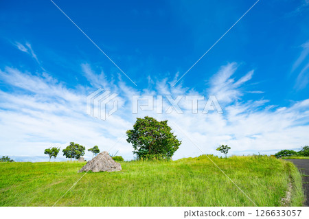 藍天和大草原 藍天和大草原 126633057