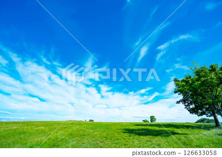 藍天和大草原 藍天和大草原 126633058