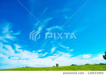 藍天和大草原 126633060
