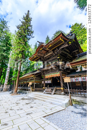 Early summer at Suwa Taisha Shrine, Shimosha, Harumiya, Suwa District, Nagano Prefecture Early summer at Suwa Taisha Shrine, Shimosha, Harumiya, Suwa District, Nagano Prefecture 126633772