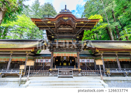 Early summer at Suwa Taisha Shrine, Shimosha, Harumiya, Suwa District, Nagano Prefecture 126633774